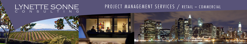 Lynette Sonne Consulting